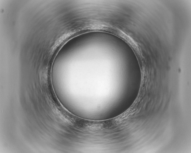 X0000088220155200705151422