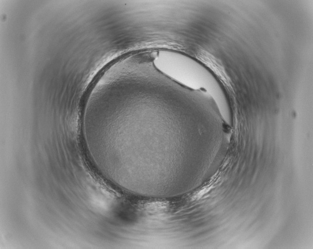 X0000088220156200705151422