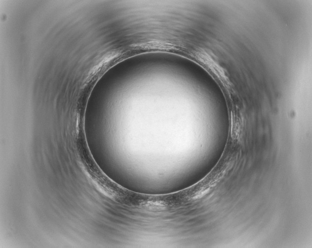 X0000088220157200705151422