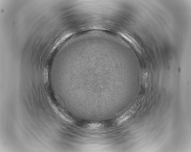 X0000088220158200705151422