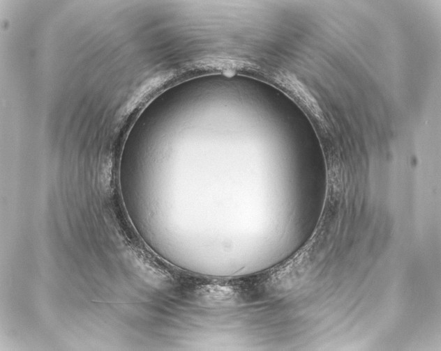 X0000088220159200705151422