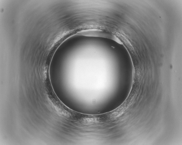 X0000088220160200705151422