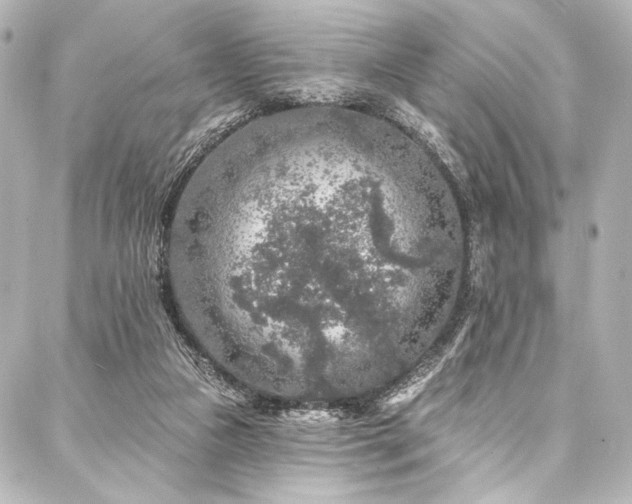 X0000088220161200705151422