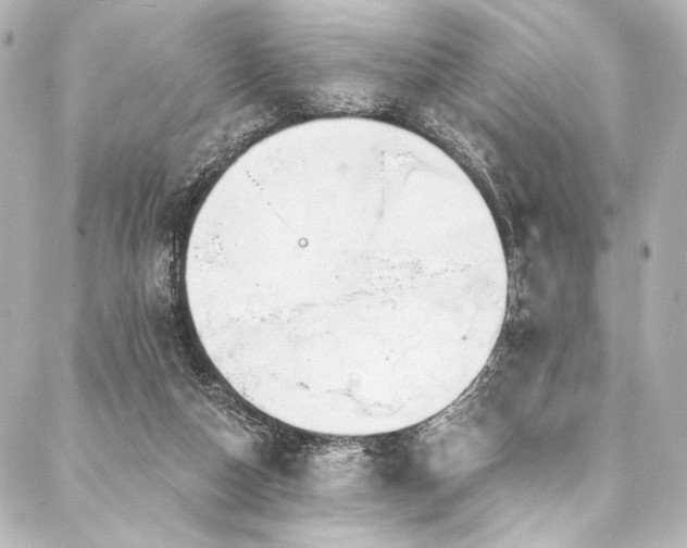 X0000088220162200705151422