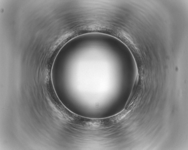 X0000088220164200705151422