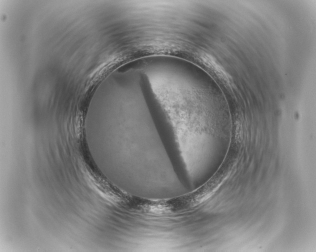 X0000088220165200705151422