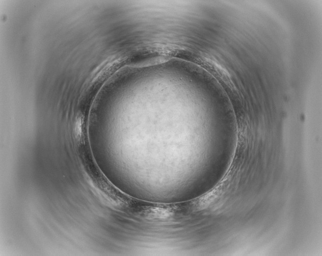 X0000088220166200705151422