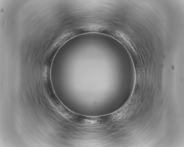 X0000088220167200705151422