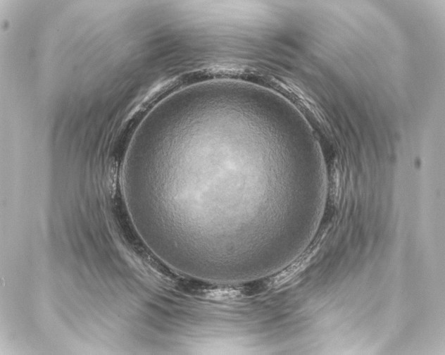 X0000088220168200705151422