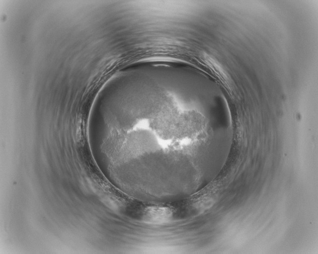 X0000088220169200705151422