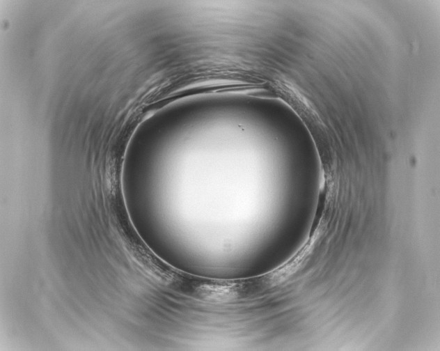 X0000088220170200705151422