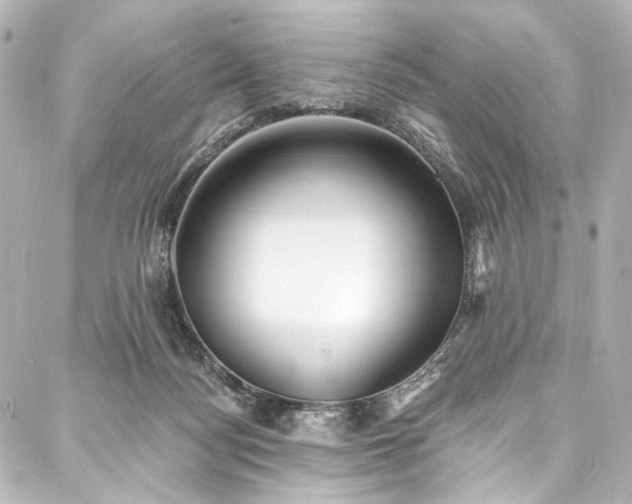 X0000088220172200705151422