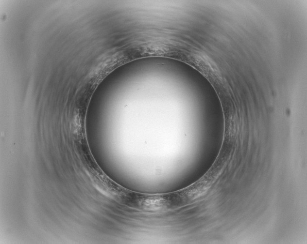 X0000088220173200705151422