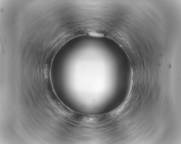 X0000088220174200705151422