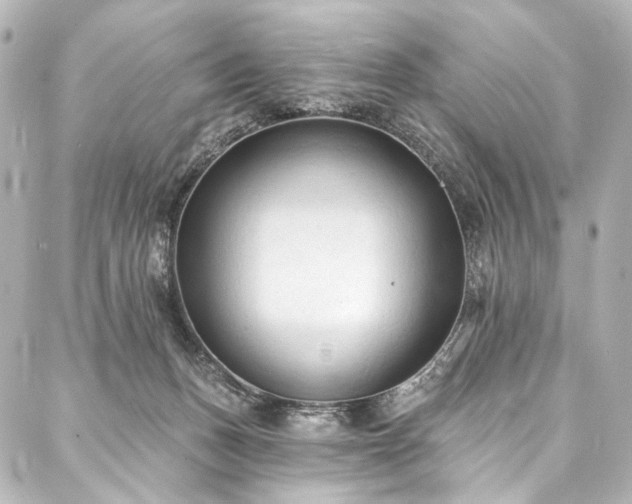 X0000088220175200705151422