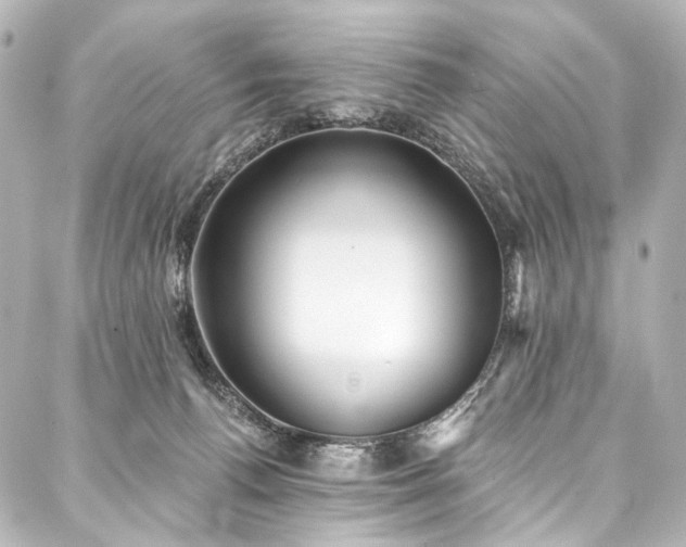 X0000088220176200705151422