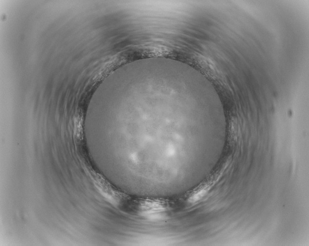 X0000088220177200705151422