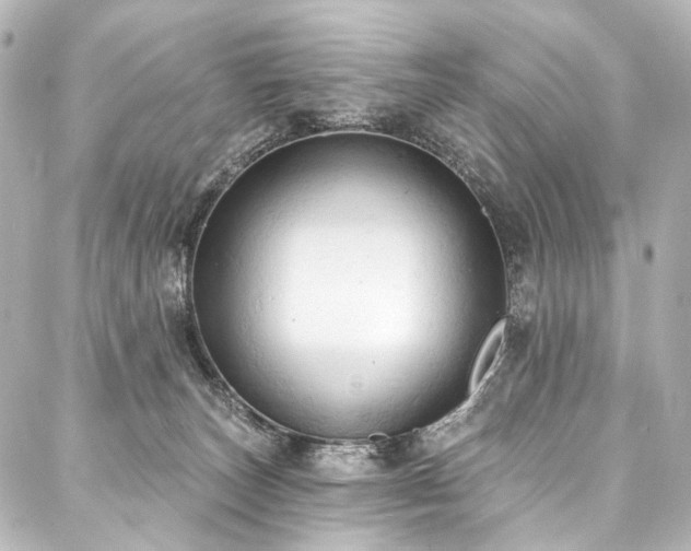 X0000088220179200705151422