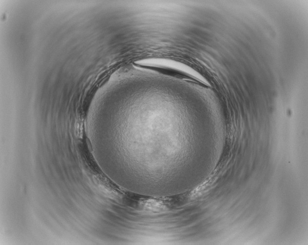 X0000088220180200705151422