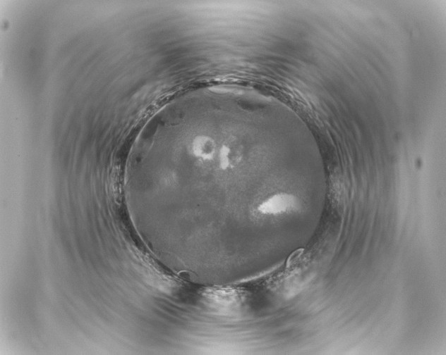 X0000088220181200705151422