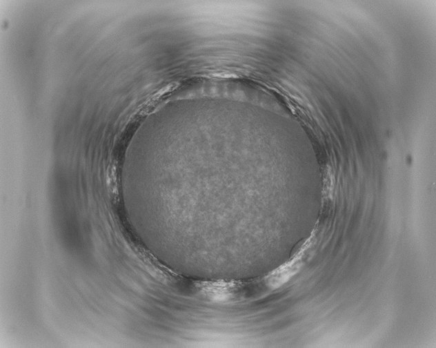 X0000088220182200705151422