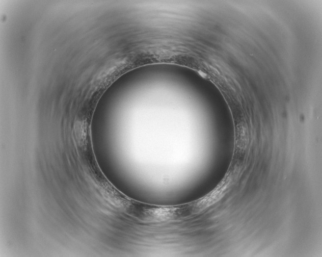 X0000088220184200705151422