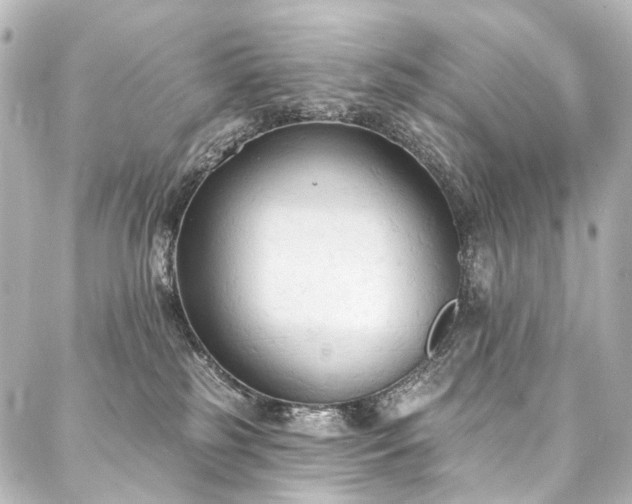 X0000088220185200705151422