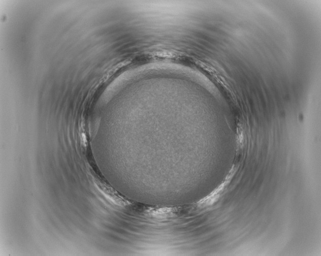 X0000088220186200705151422