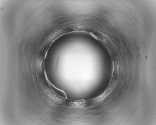 X0000088220188200705151422