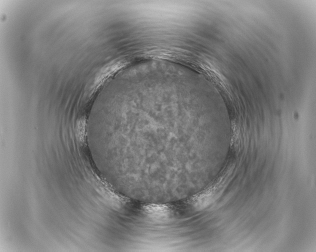 X0000088220189200705151422