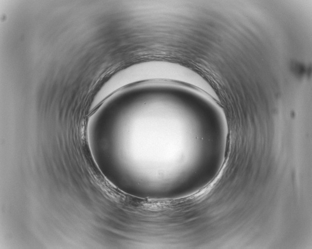 X0000088220190200705151422