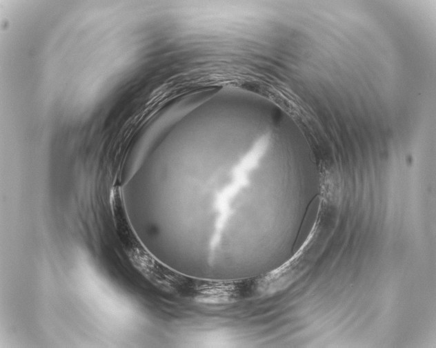 X0000088220191200705151423