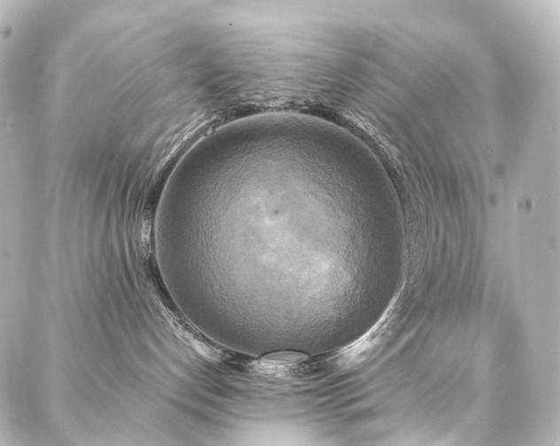 X0000088220192200705151423