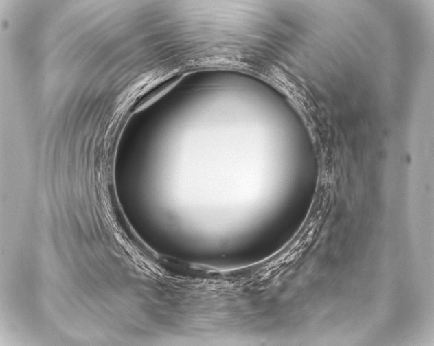 X0000088220193200705151422