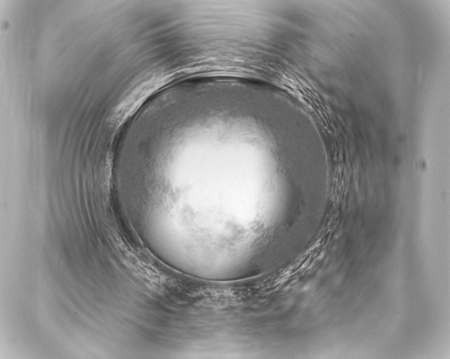 X0000088220194200705151422