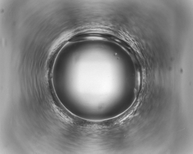 X0000088220197200705151422