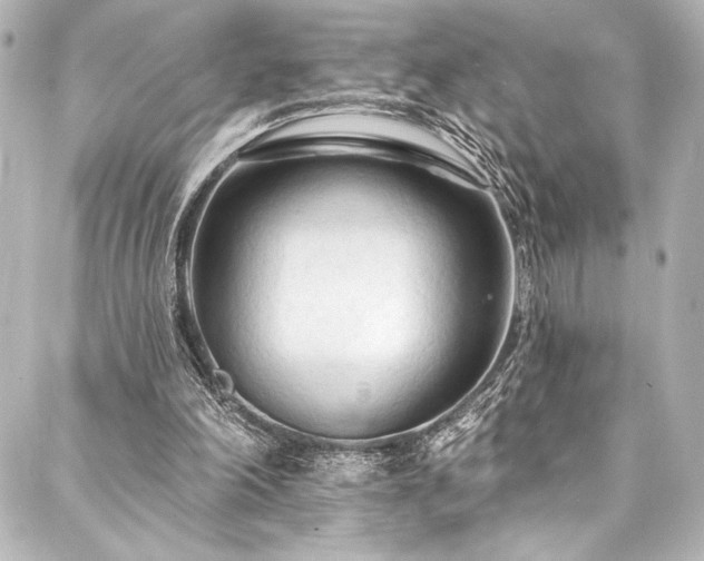 X0000088220198200705151422