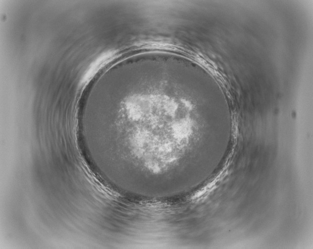 X0000088220199200705151422