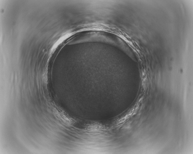 X0000088220200200705151422