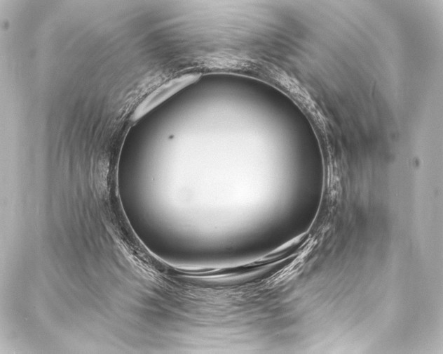 X0000088220201200705151422