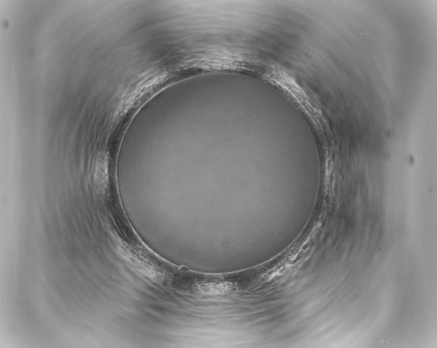 X0000088220202200705151422