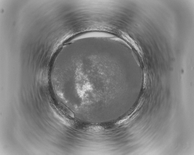 X0000088220203200705151422