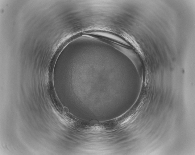 X0000088220204200705151422