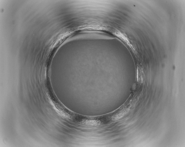 X0000088220205200705151422