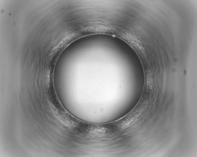 X0000088220206200705151422