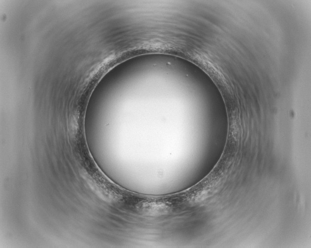 X0000088220208200705151421