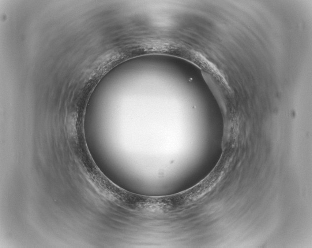 X0000088220209200705151421