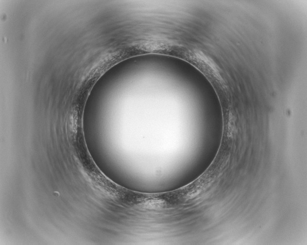 X0000088220210200705151421