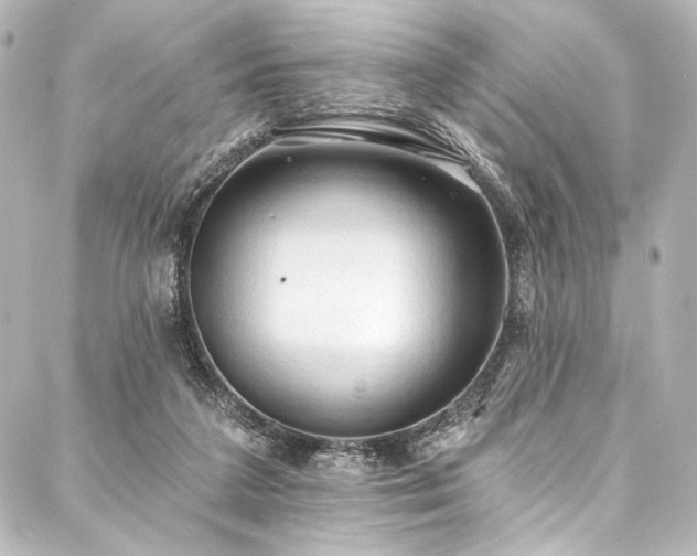 X0000088220211200705151421