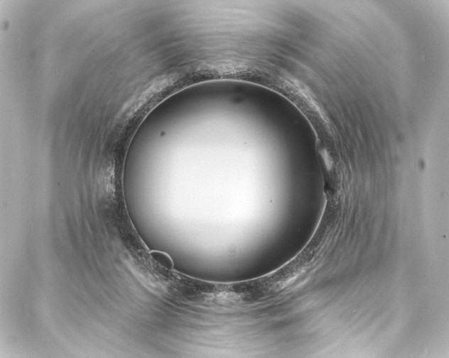 X0000088220212200705151421